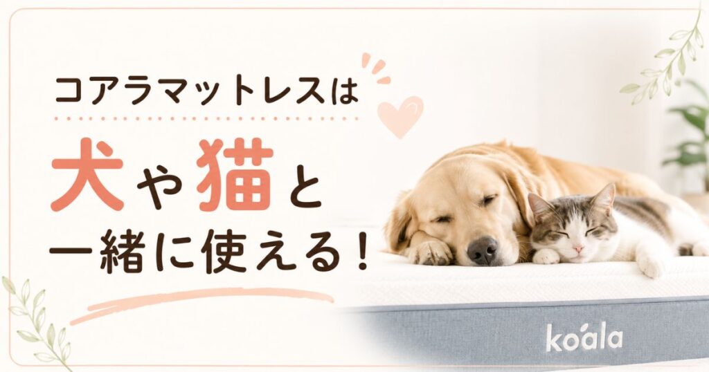 コアラマットレスは犬・猫と一緒に使える！爪や粗相の対策は0円から、ペット用保護カバーの選び方も