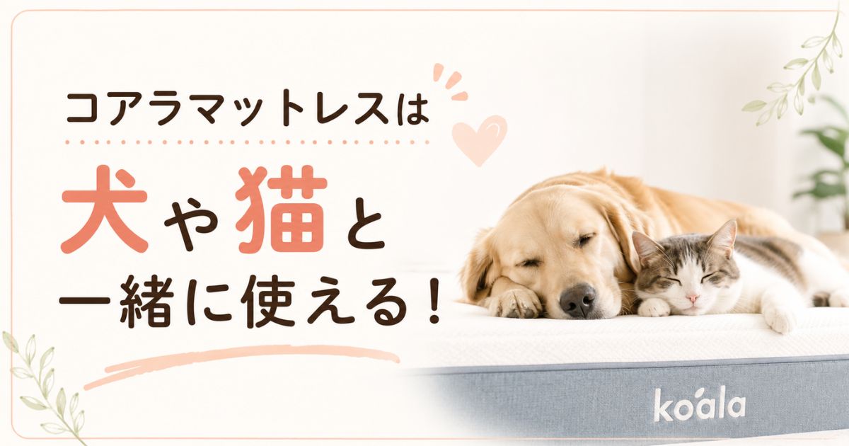 コアラマットレスは犬・猫と一緒に使える!爪や粗相の対策は0円から、ペット用保護カバーの選び方も