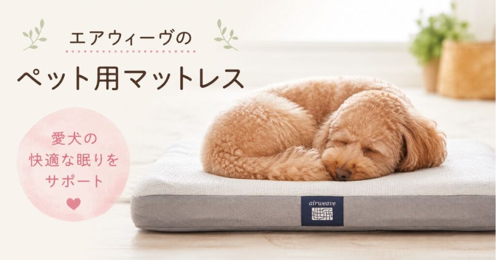 エアウィーヴのペット用マットレスの上で気持ちよさそうに眠る犬