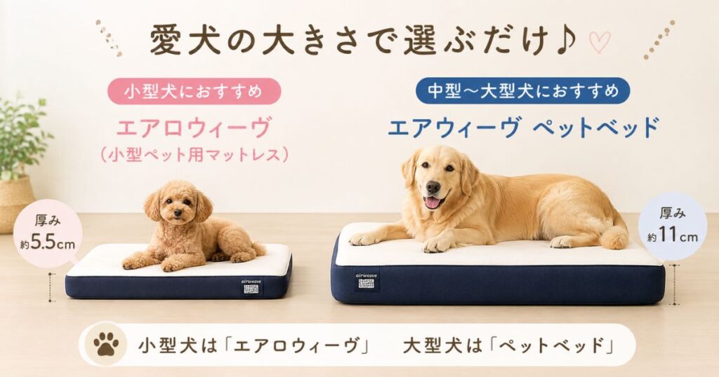 小型犬用と大型犬用のエアウィーヴ ペットベッドのサイズを見比べる様子