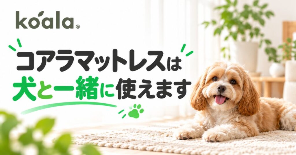 コアラマットレスは犬と一緒に使えます！粗相も爪も保護カバーで守れます