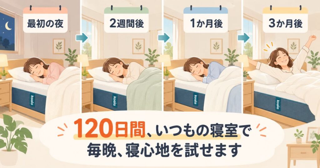 コアラマットレスで最初の夜から数か月間自宅で寝ながら寝心地を確かめる様子