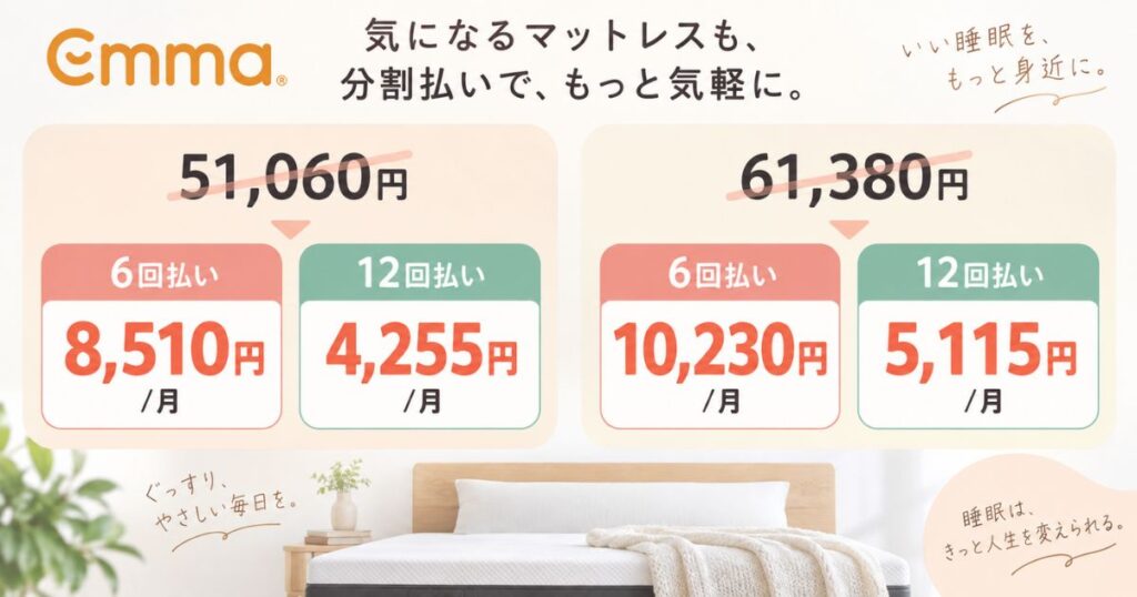 エマスリープをペイディ6回払いと12回払いにした場合の月々の支払額